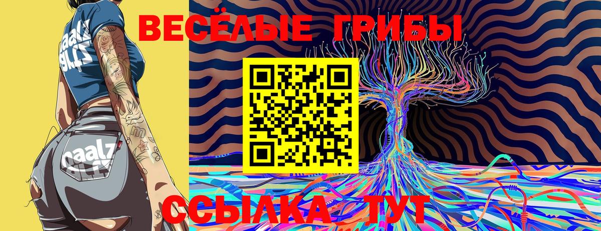Псилоцибиновые грибы мицелий Майский