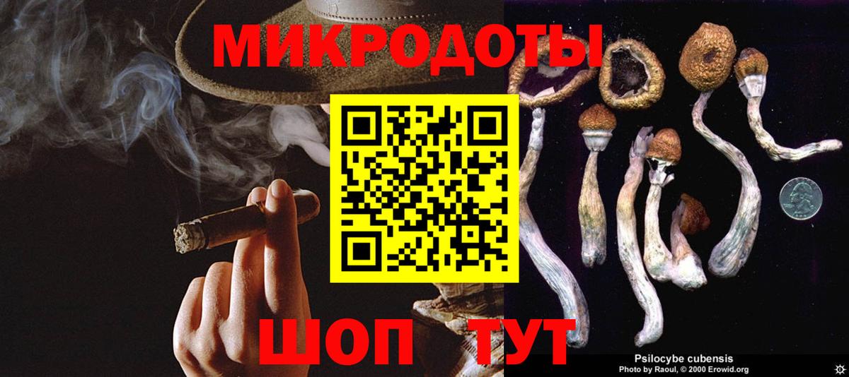 хочу наркоту  Псилоцибиновые грибы Magic Shrooms  Вход с VPN  Майский 